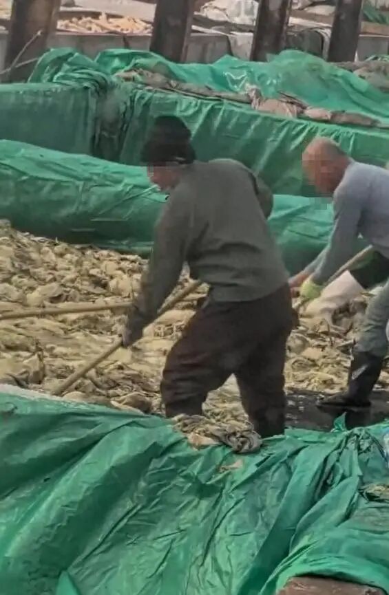 1761702161413782.jpg 640 (2).jpg