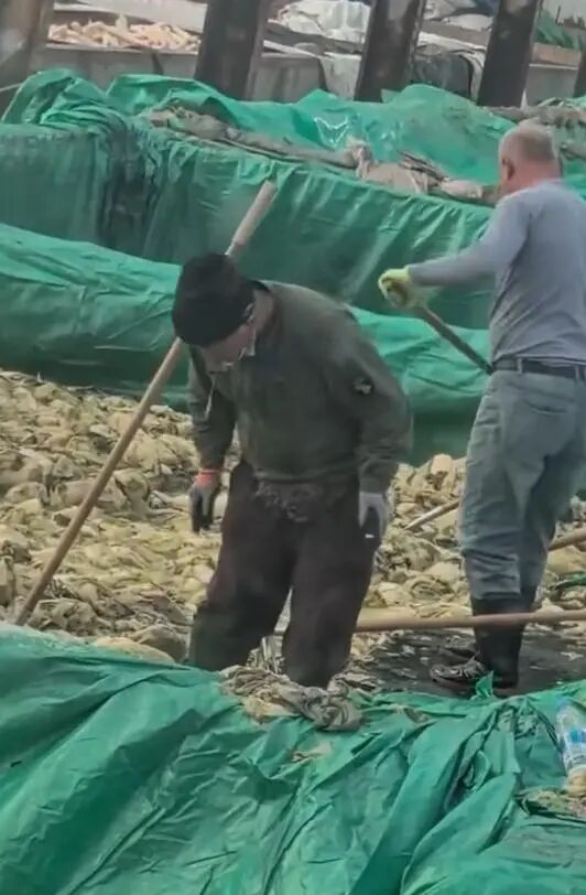 1761702165447796.jpg 640 (3).jpg