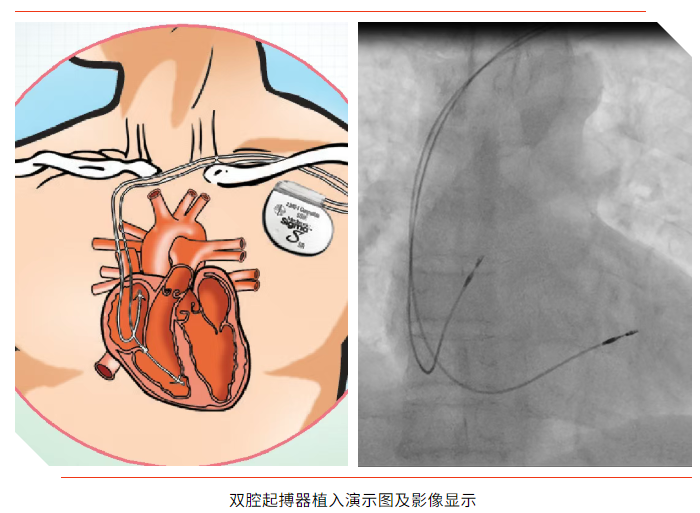 1761808014937124.png image.png