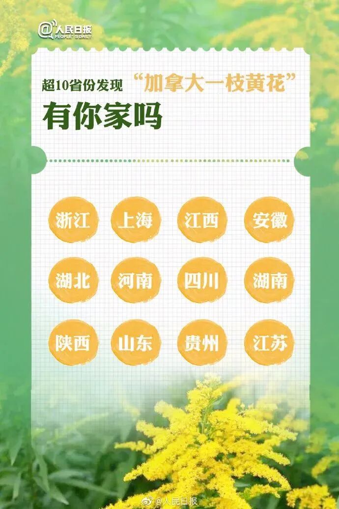 1761874131221370.jpg 640 (9).jpg