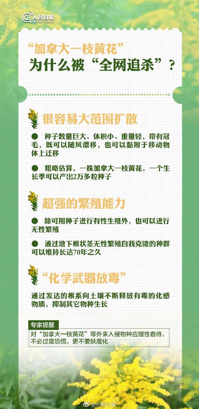 1761874138825236.jpg 640 (11).jpg