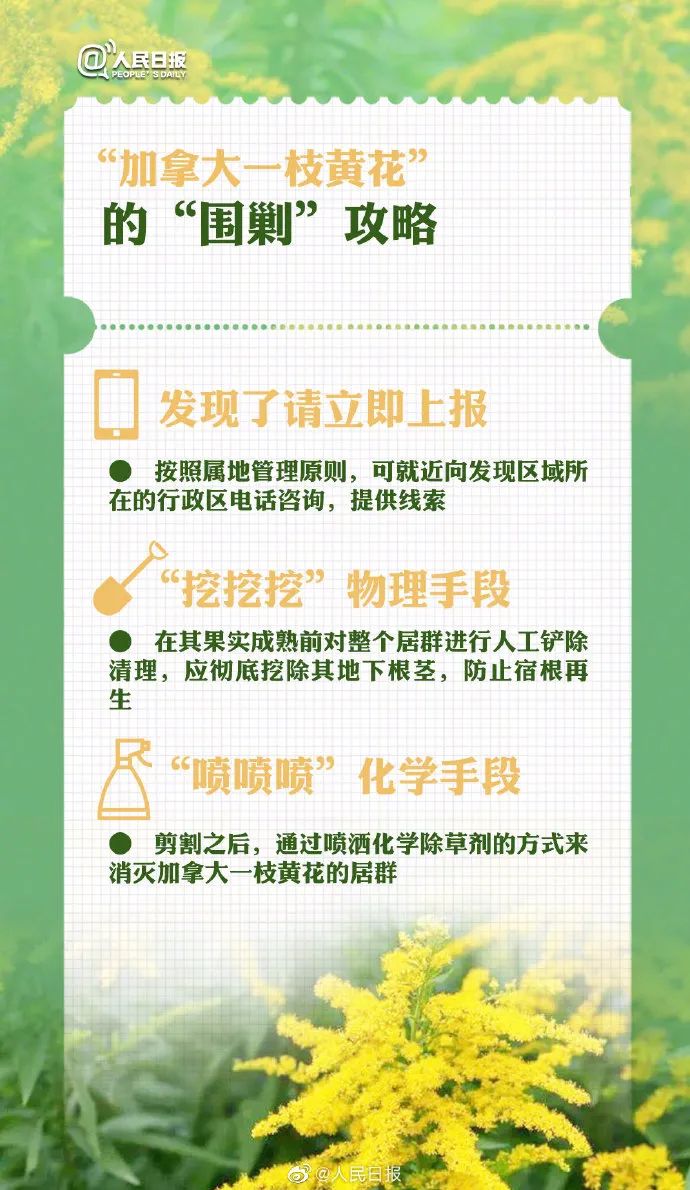 1761874143486221.jpg 640 (12).jpg