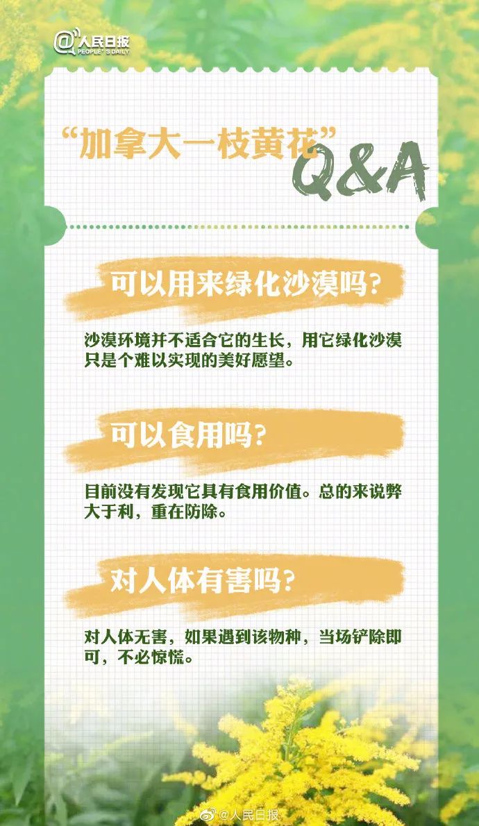 1761874146936406.jpg 640 (13).jpg