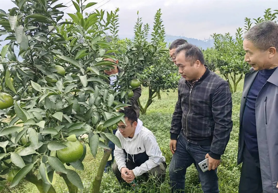 1762135477970769.jpg 640 (9)_副本2.jpg