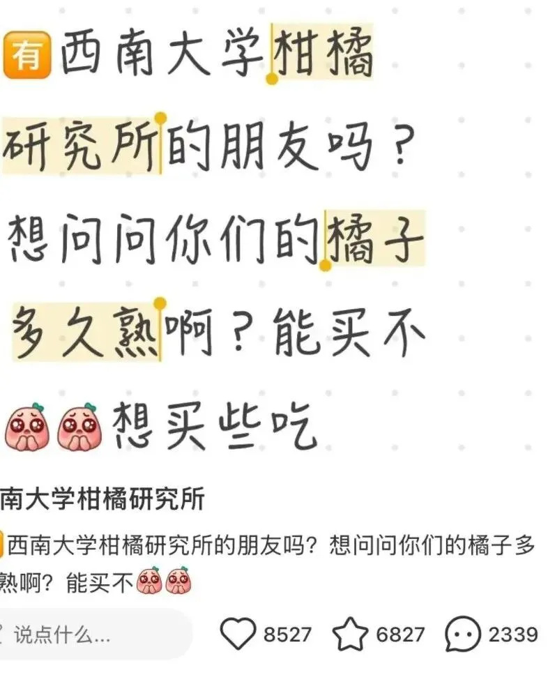 1762135501872576.jpg 640 (11)_副本.jpg