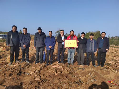 1762150463182122.jpg 32c4bdc39bc4c97c3e87c125f2bcd78f.jpg