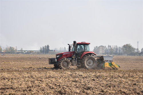 1762414383867233.jpg DSC_0762.JPG