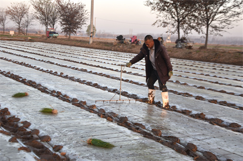 1764137551612575.jpg DSC_0090.JPG