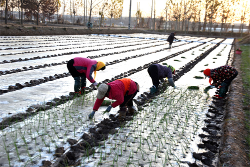 1764137562535709.jpg DSC_0101.JPG