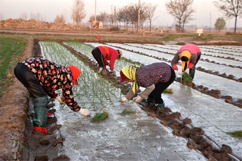 1764137568104339.jpg DSC_0103.JPG