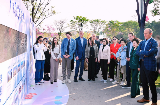 1765194285706506.png image.png