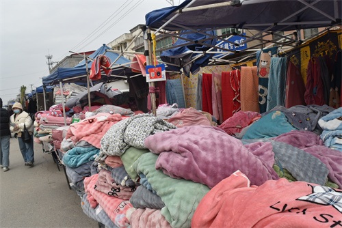 1765529565770394.jpg DSC_0053.JPG