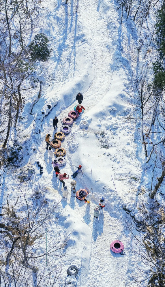 1767489977279863.png 640 (6).png