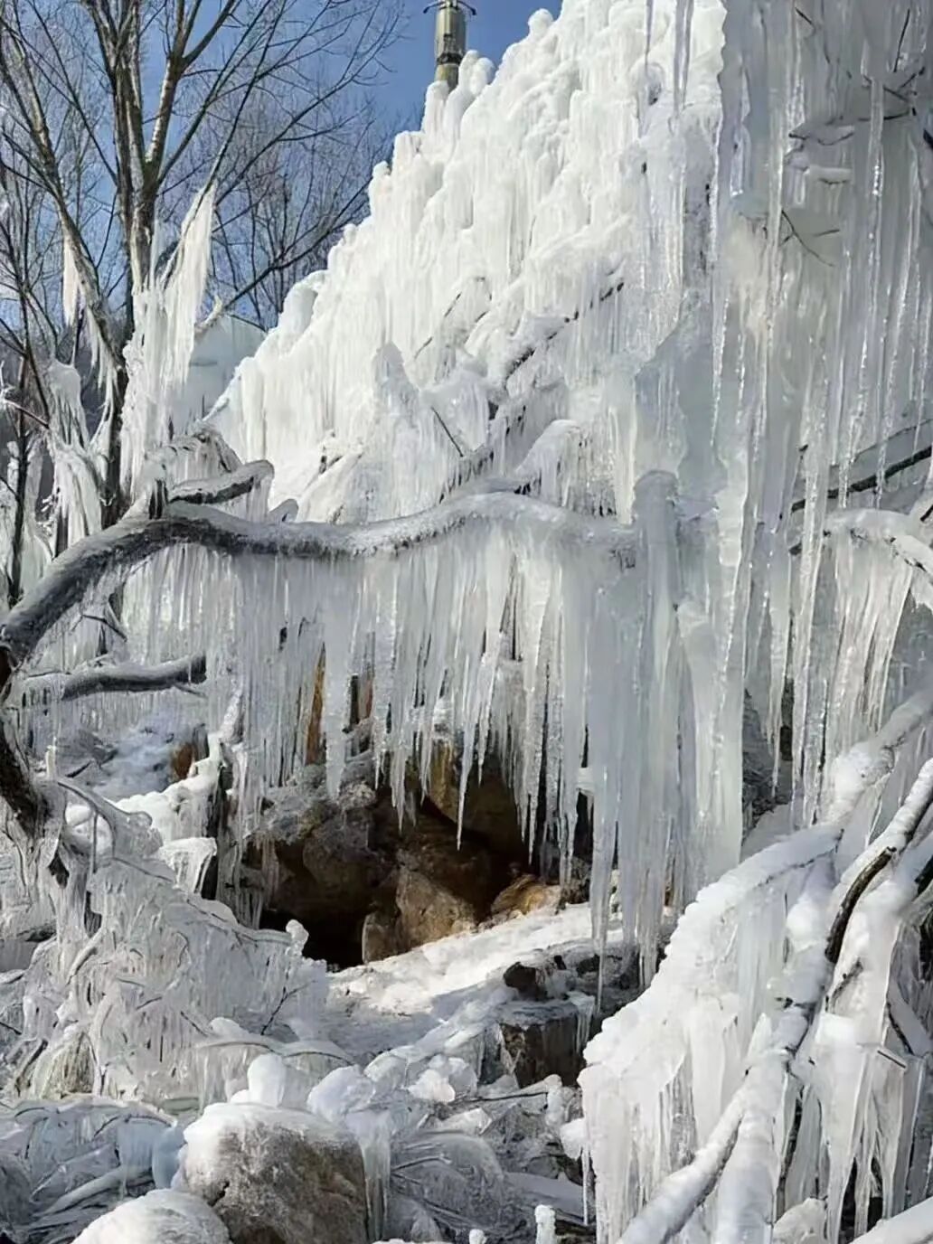 1767489993819543.jpg 640 (6).jpg