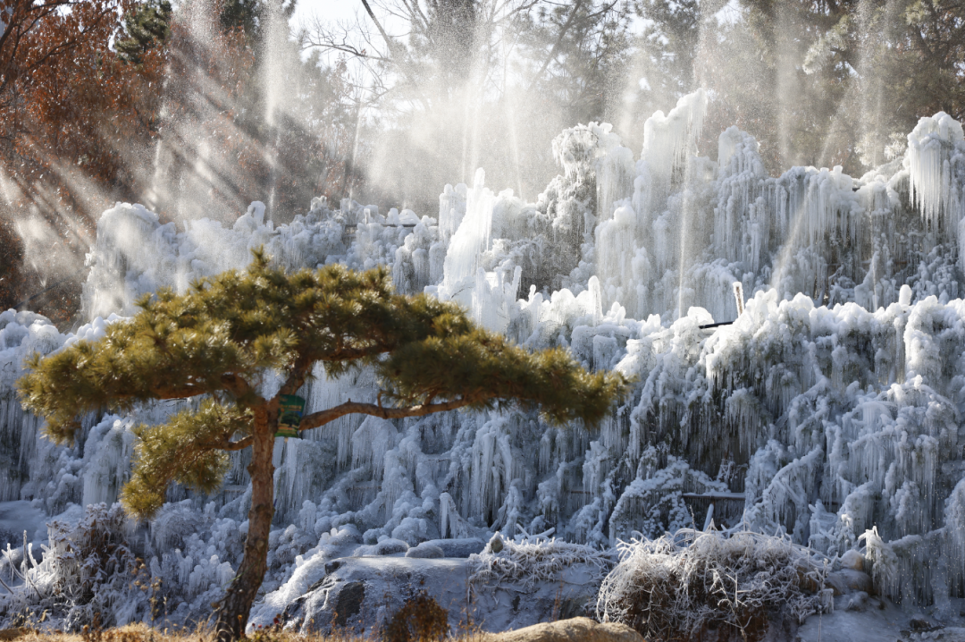 1767490005123073.png 640 (7).png