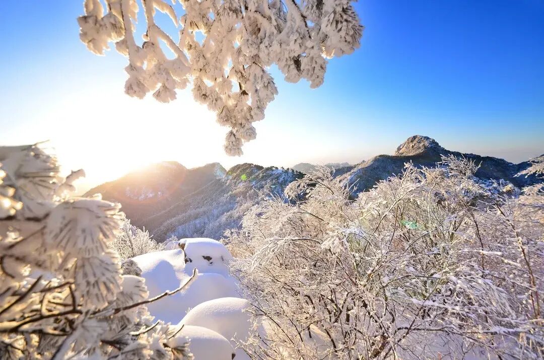 1767490028829278.jpg 640 (7).jpg