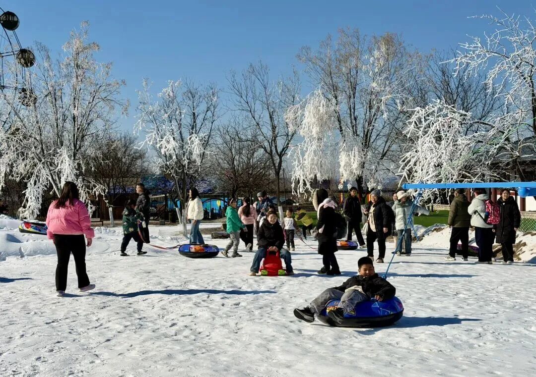 1767490113685338.jpg 640 (14).jpg