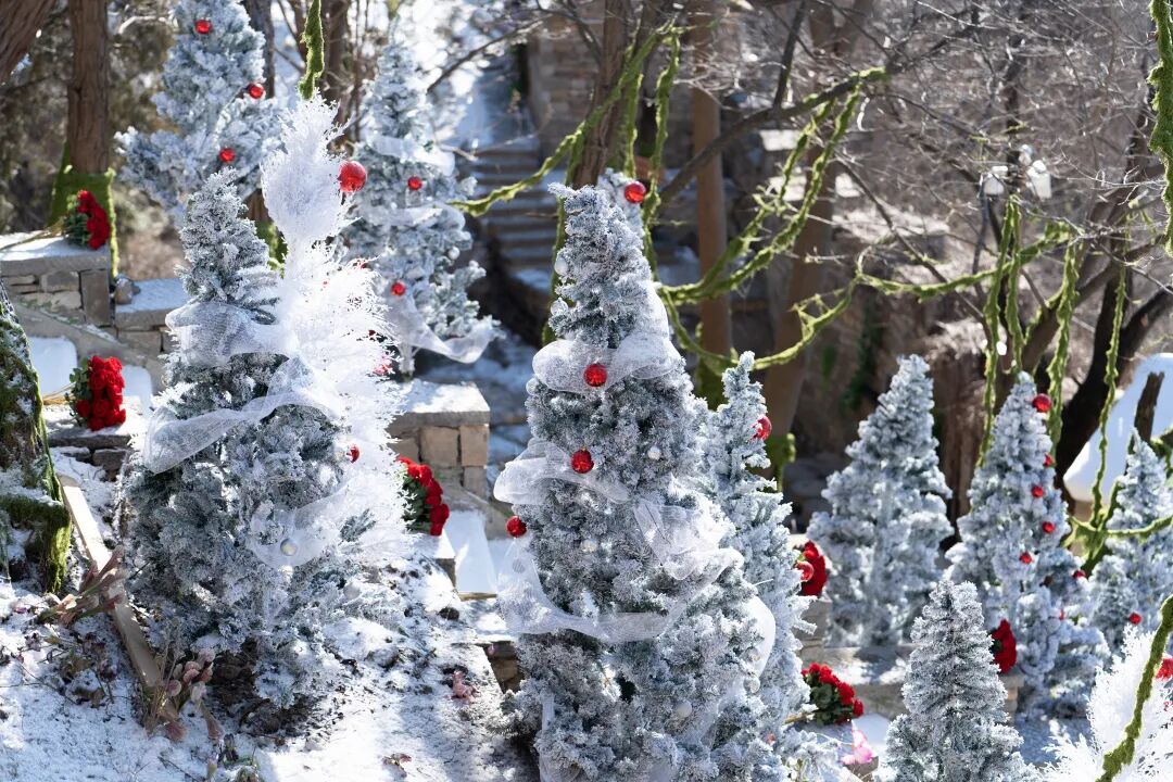 1767490124178953.jpg 640 (15).jpg