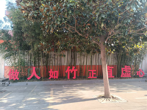 1767681506317101.jpg 微信图片_20260106105155_134_137.jpg