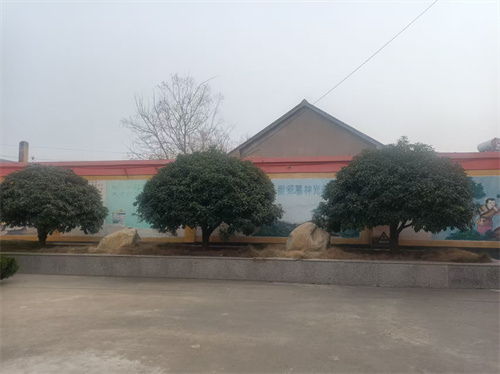 1767681546665168.jpg 微信图片_20260106105932_139_137.jpg