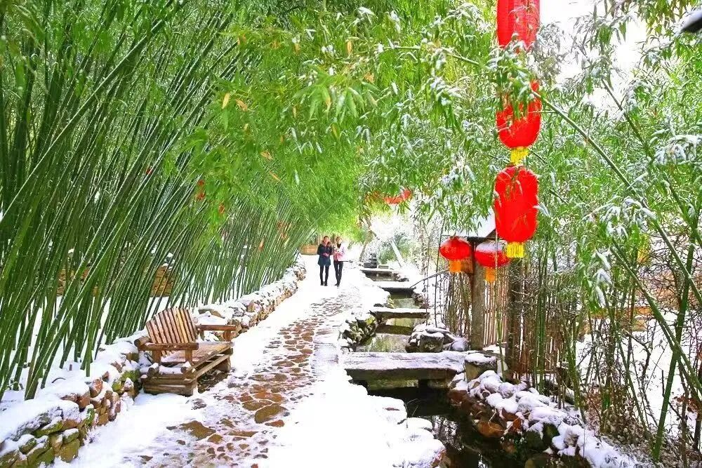 1767749333691864.jpg 640 (13).jpg