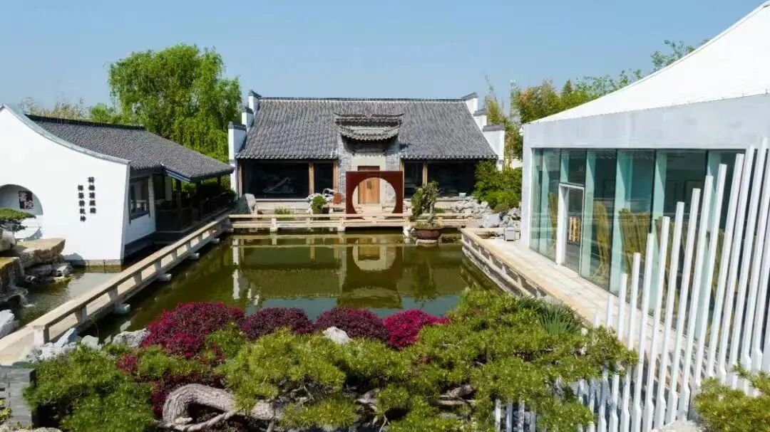 1767749428910619.jpg 640 (19).jpg