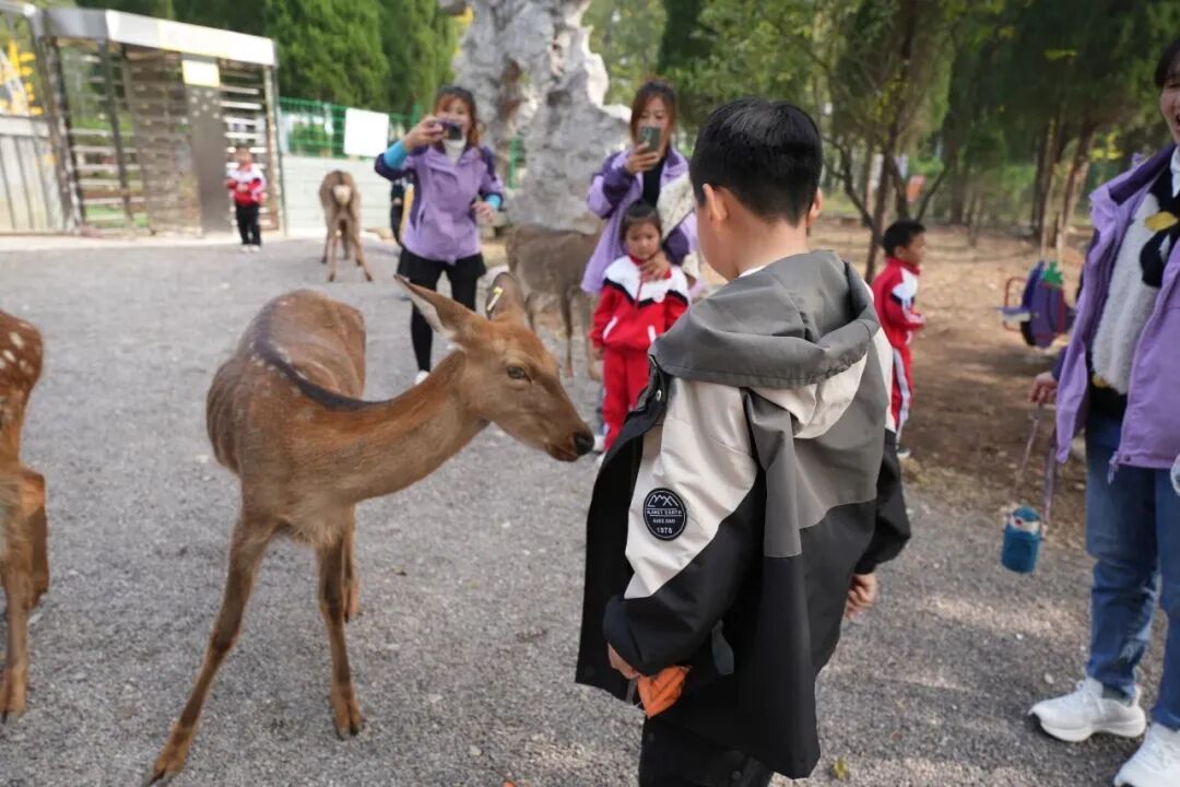 1767749620162057.jpg 640 (29).jpg