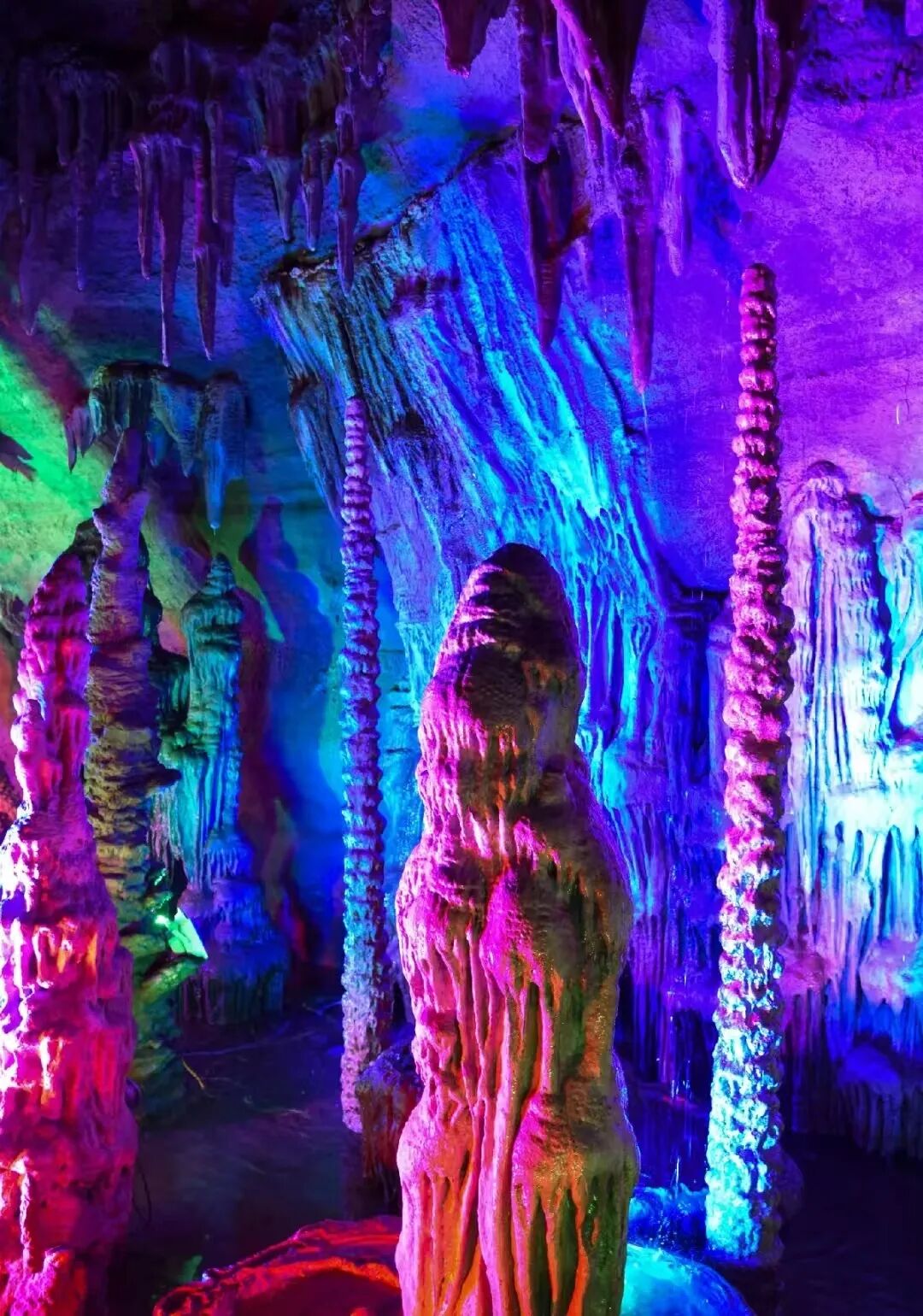 1767749656685333.jpg 640 (32).jpg