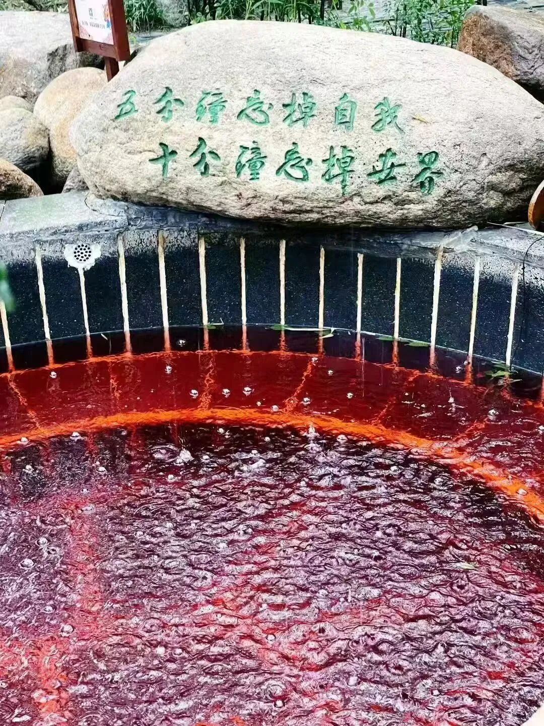 1767749737591860.jpg 640 (36).jpg