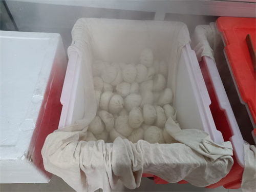 1767750503903861.jpg 微信图片_20260107074647_148_137.jpg