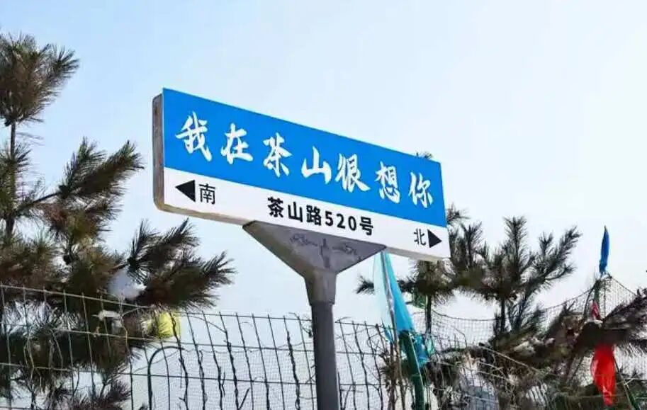 1767835650937700.jpg 640 (7).jpg