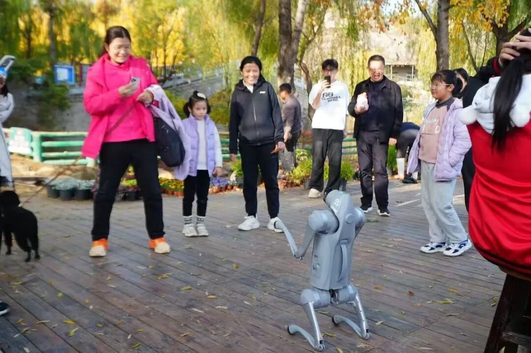 1767835785565434.jpg 640 (14).jpg