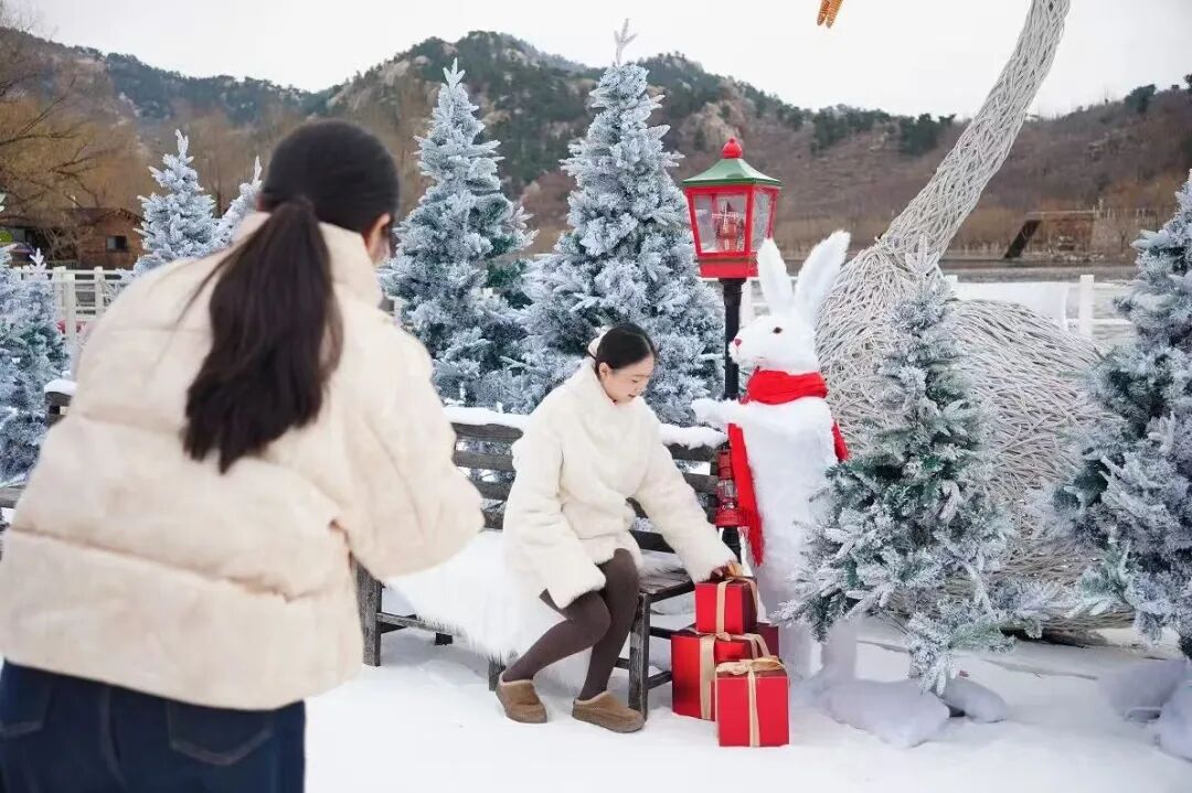 1767835798649708.jpg 640 (15).jpg