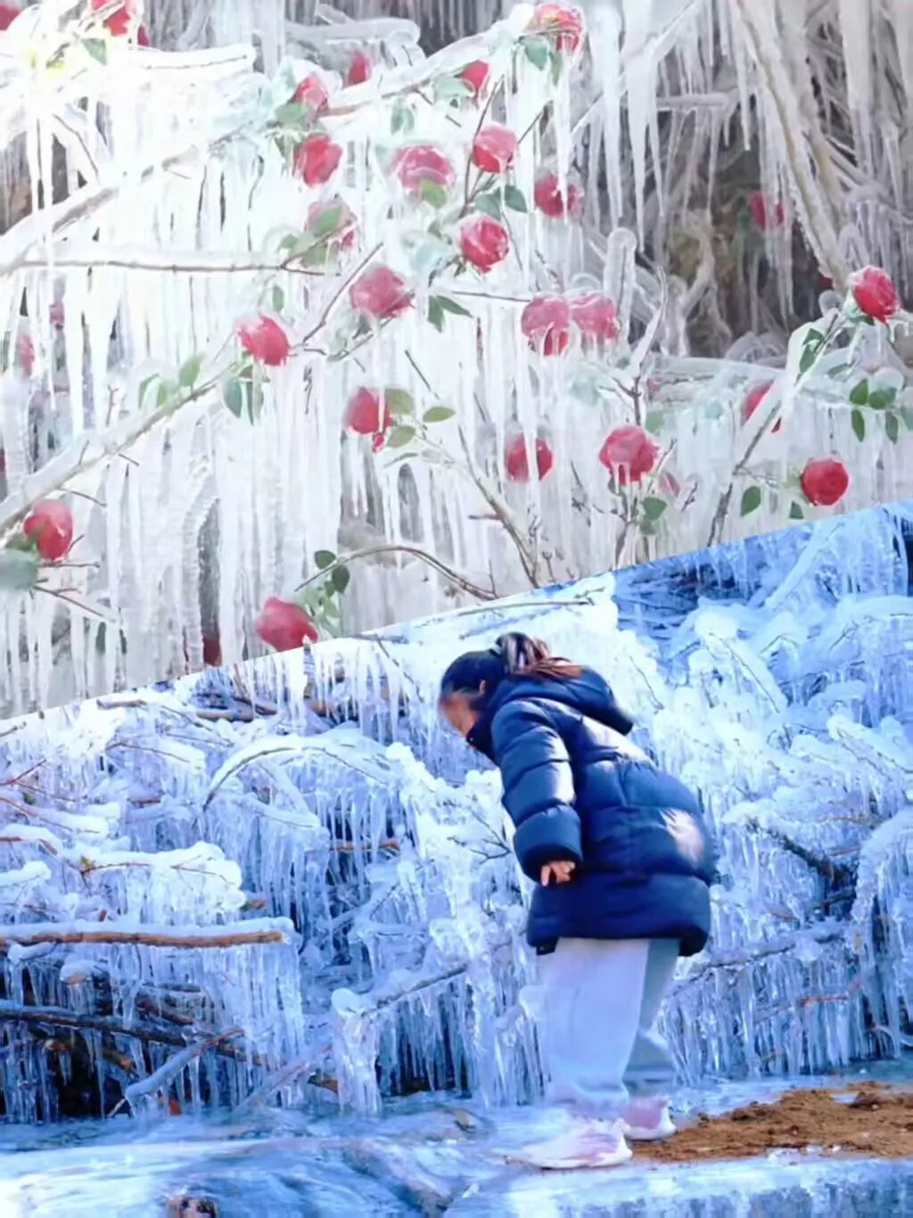 1767835813646235.jpg 640 (16).jpg