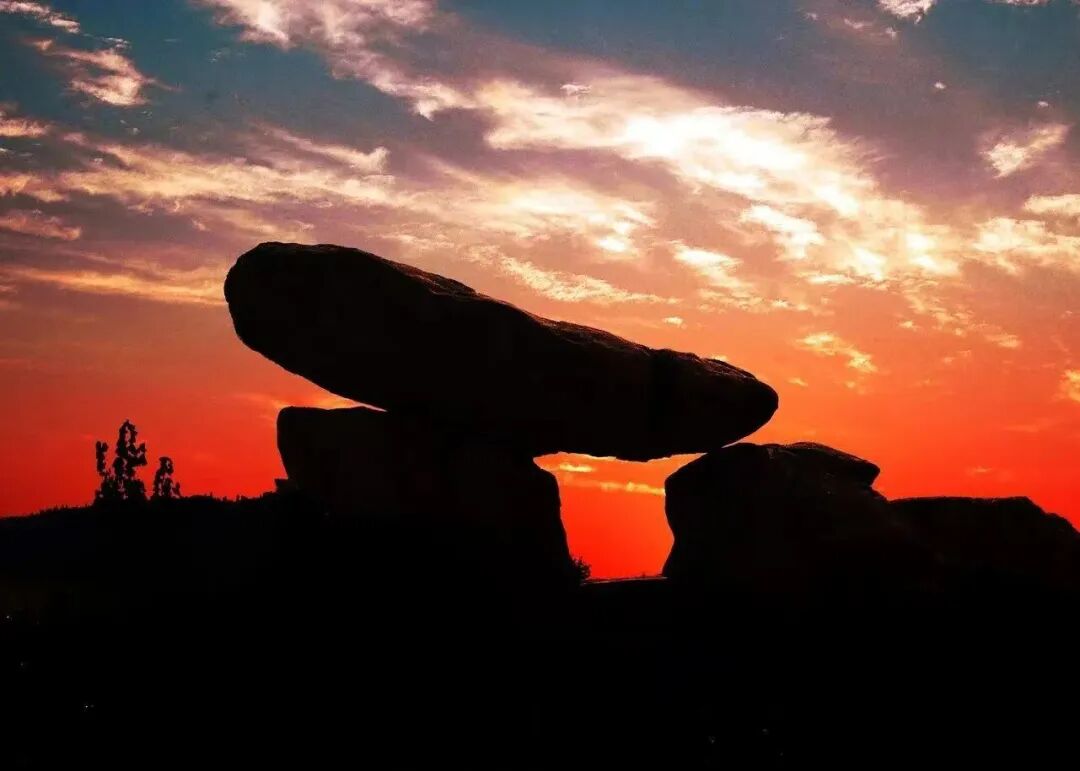 1767835826705393.jpg 640 (17).jpg