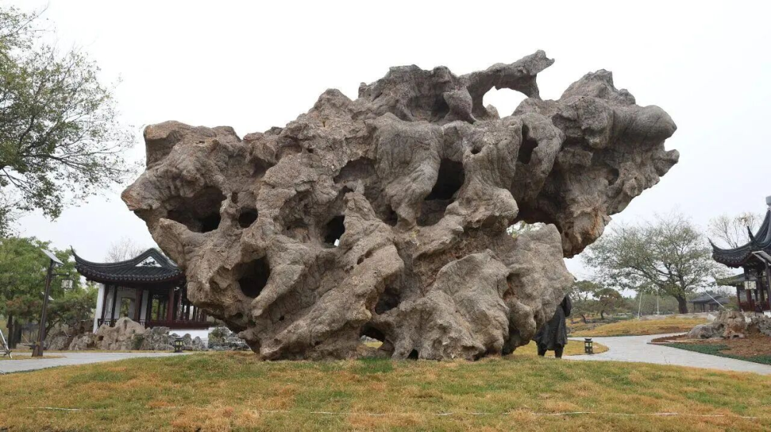 1767835917828782.png 640 (8).png