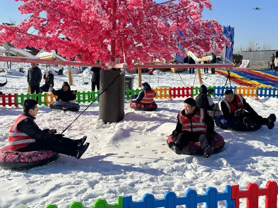 1767835980648744.jpg 640 (19).jpg