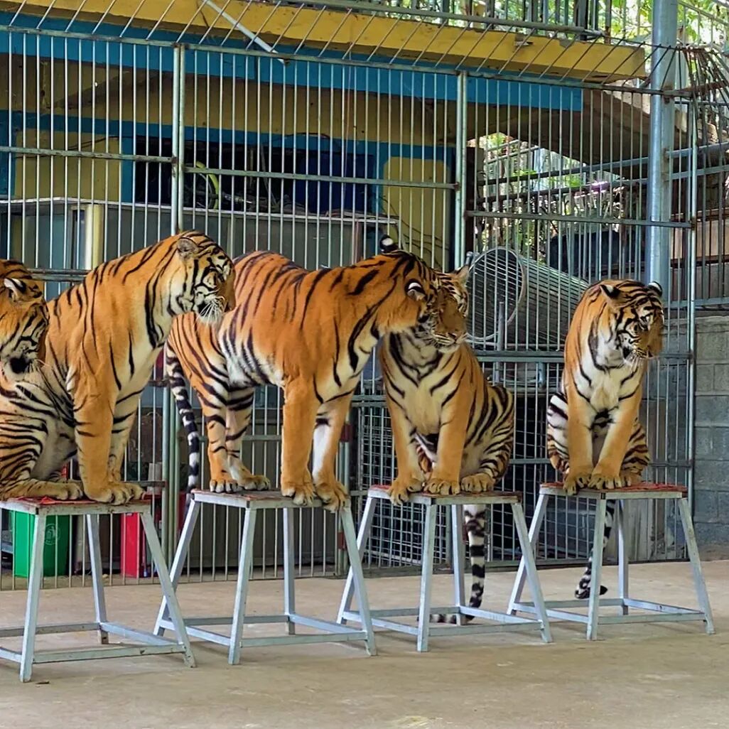 1767836070503930.jpg 640 (25).jpg