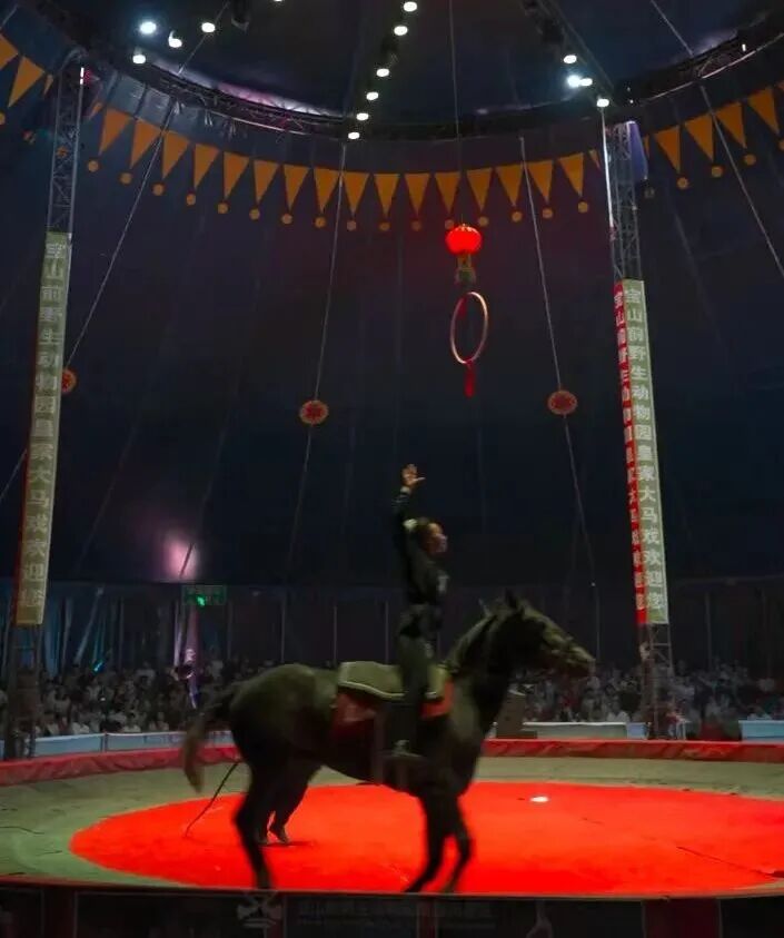 1767836083805898.jpg 640 (26).jpg