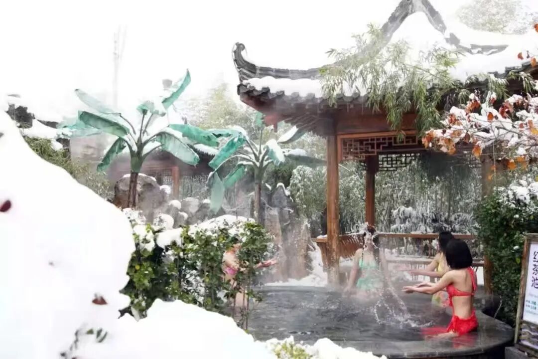 1767836155992090.jpg 640 (29).jpg