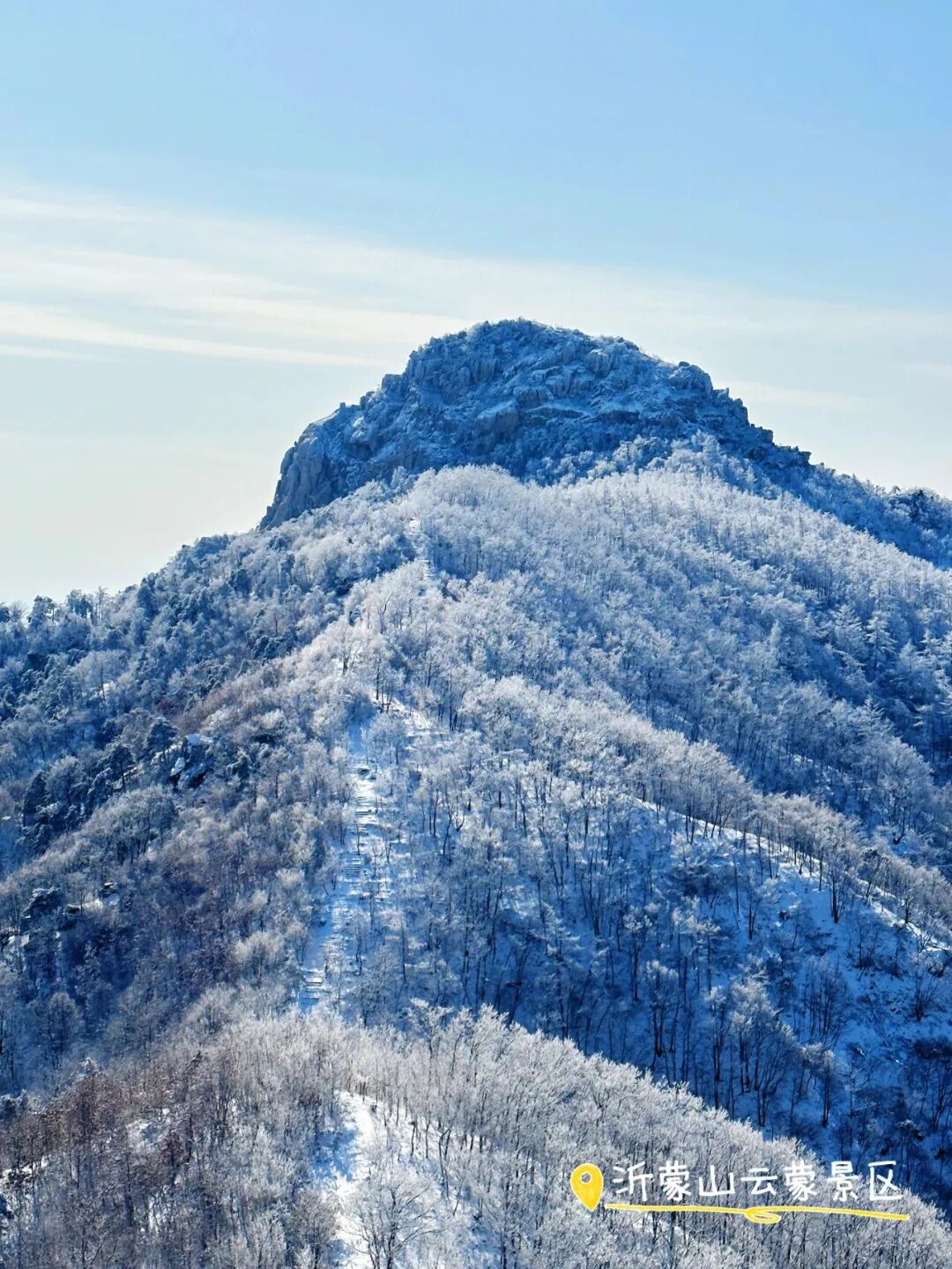 1767922231783405.jpg 640 (1).jpg