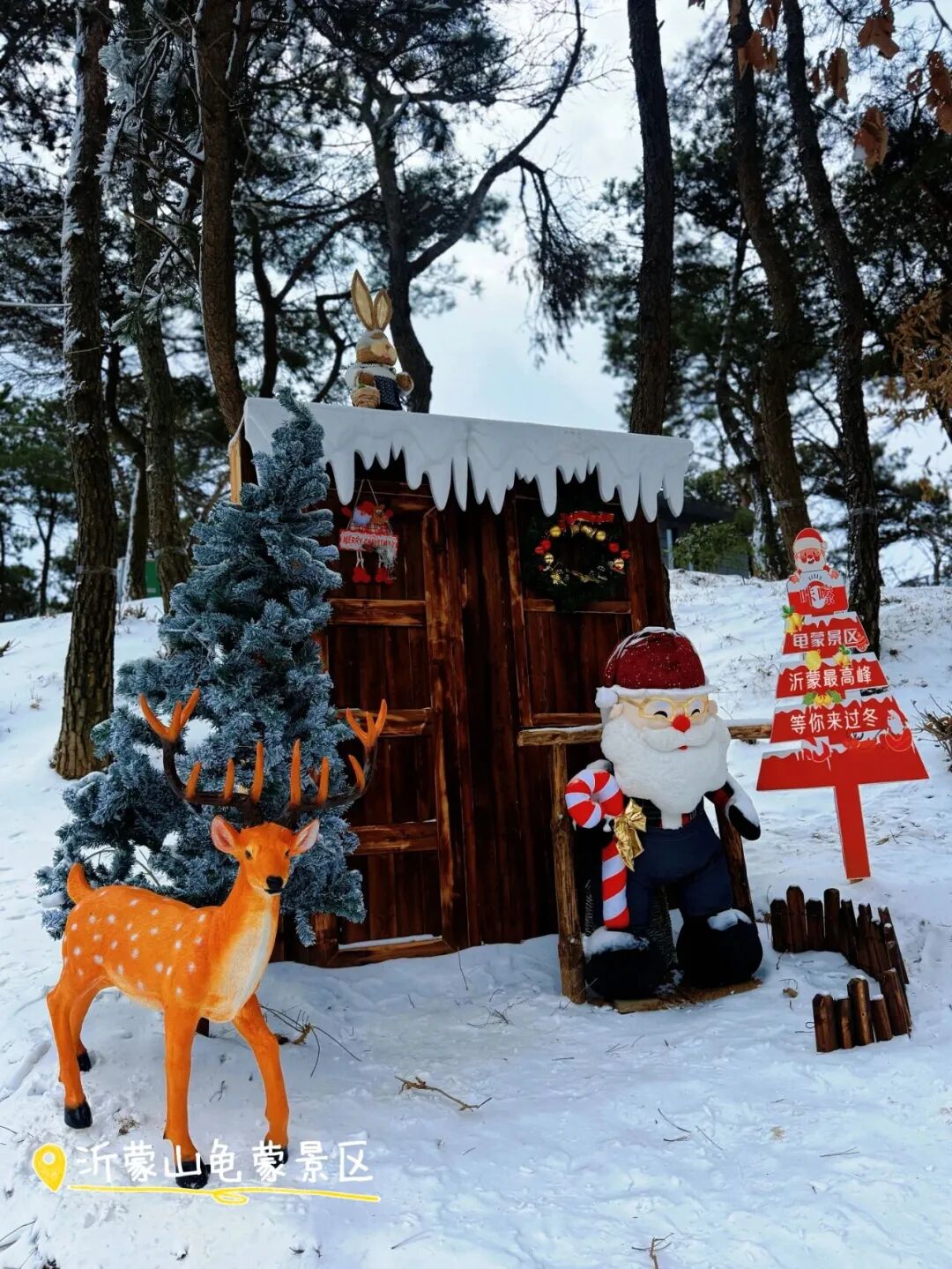 1767922253646396.jpg 640 (2).jpg