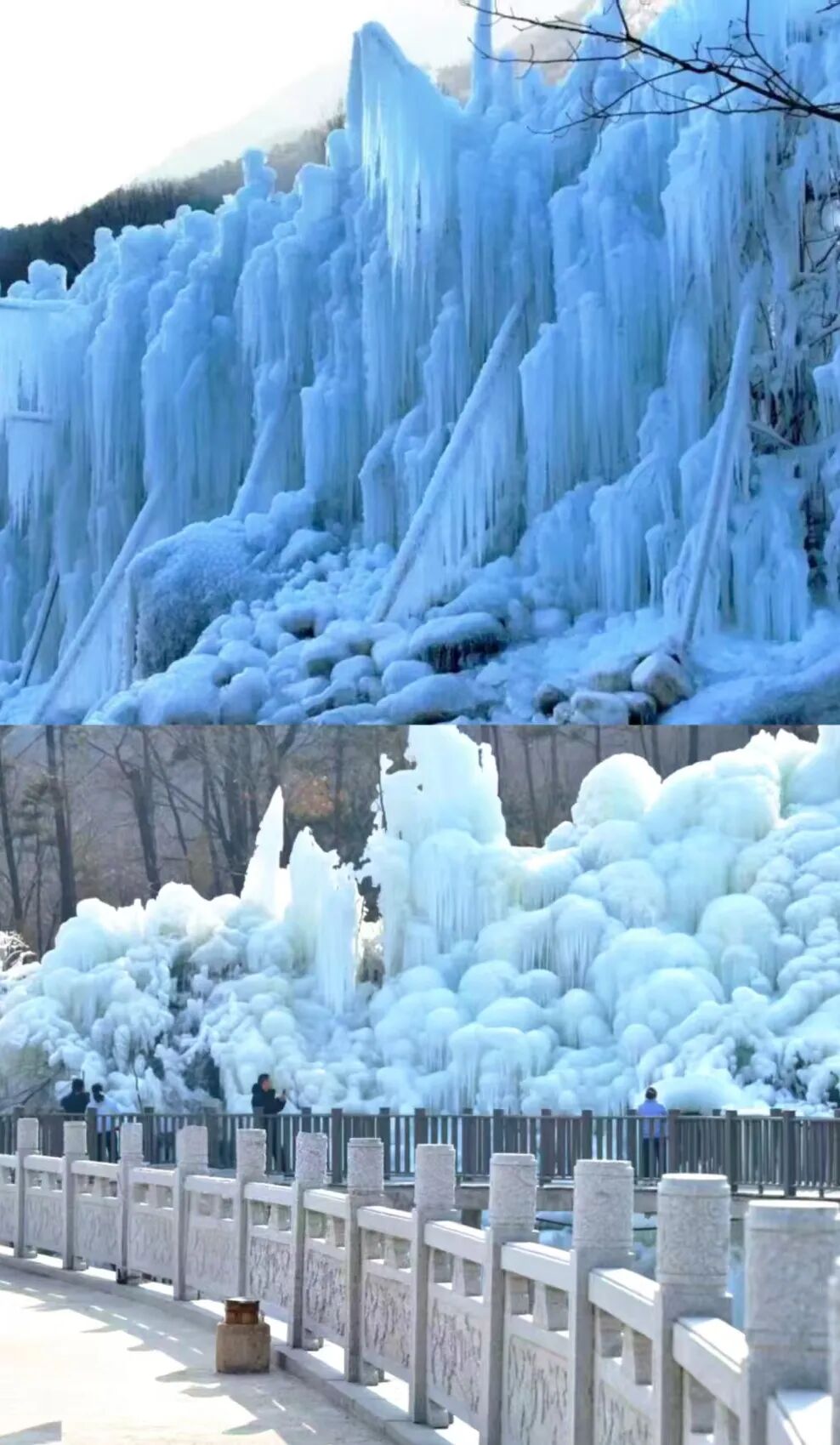 1767922264981156.jpg 640 (3).jpg