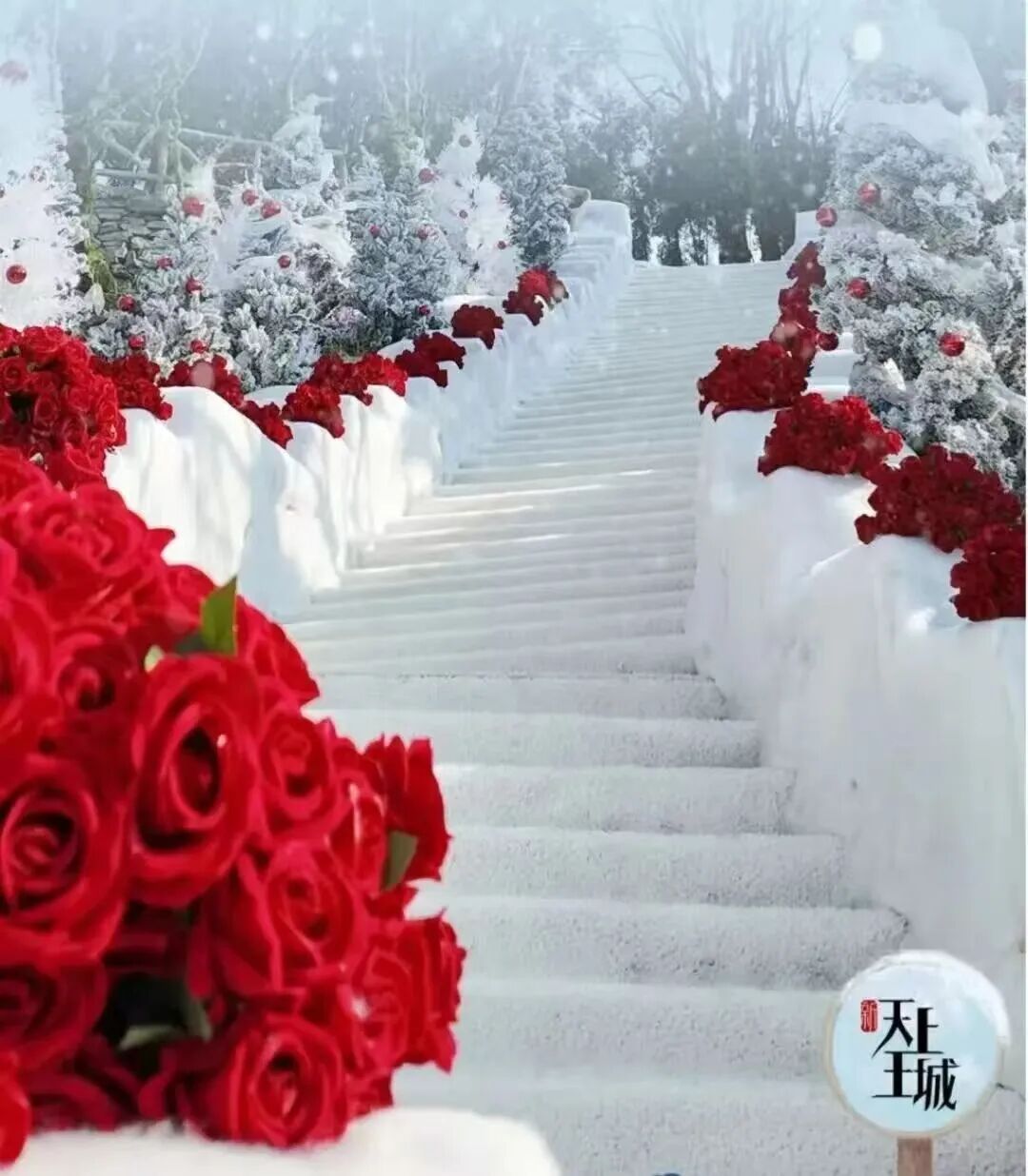 1767922537631335.jpg 640 (13).jpg