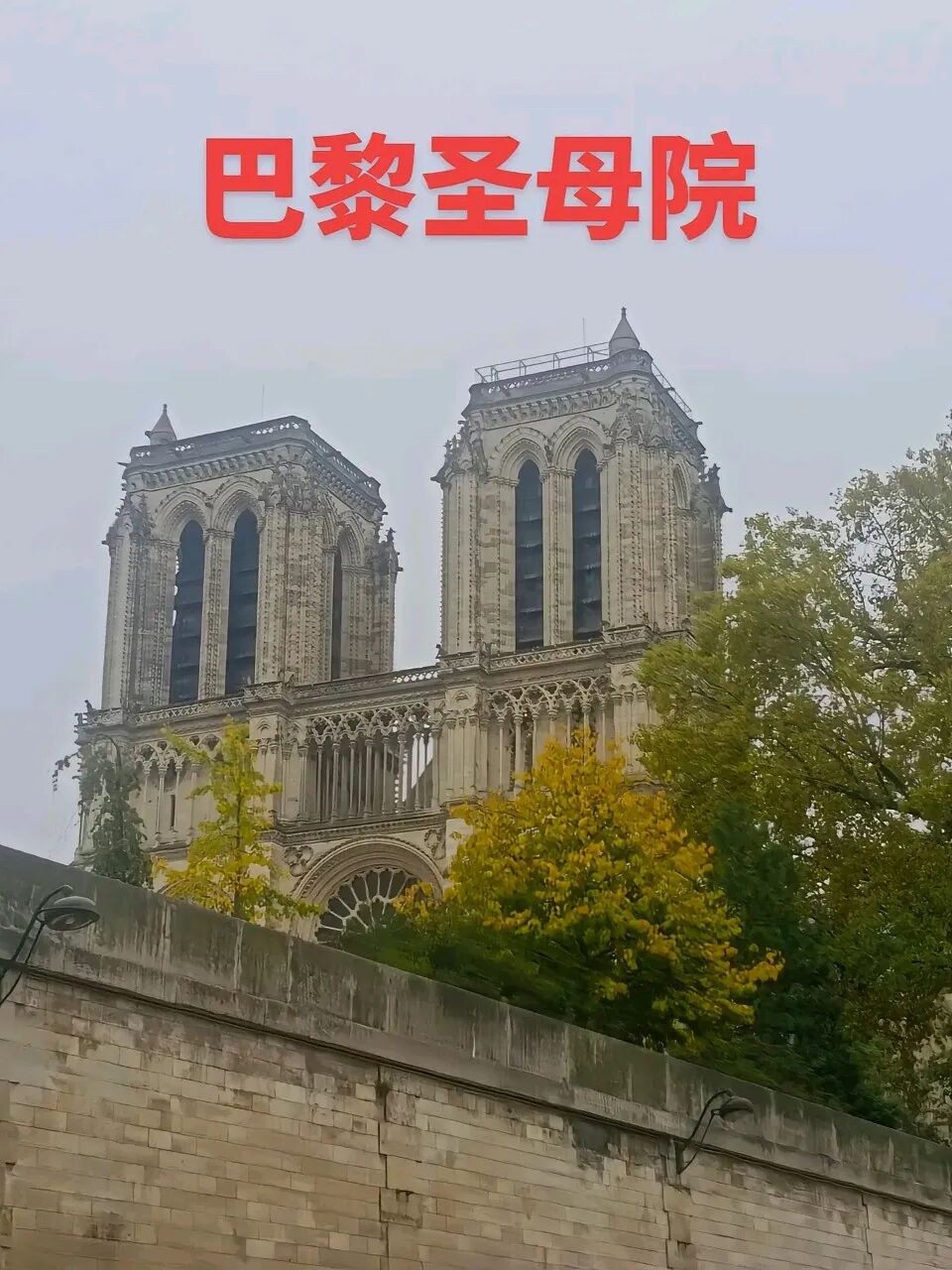 1767923052568993.jpg 640 (24).jpg