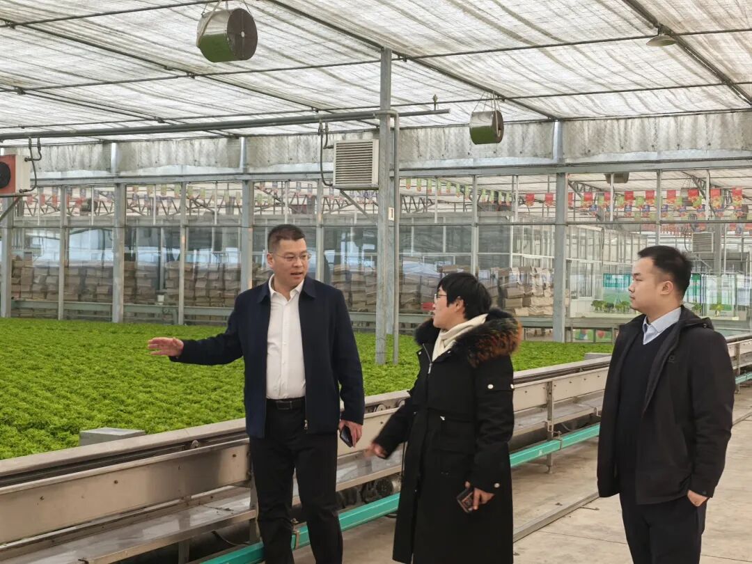 五篇大文章 临商新答卷②|链上融通,田间送达——临商银行引金融活水浇灌普惠金融沃土